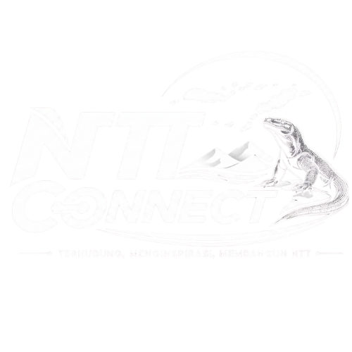 Logo NTT Connect